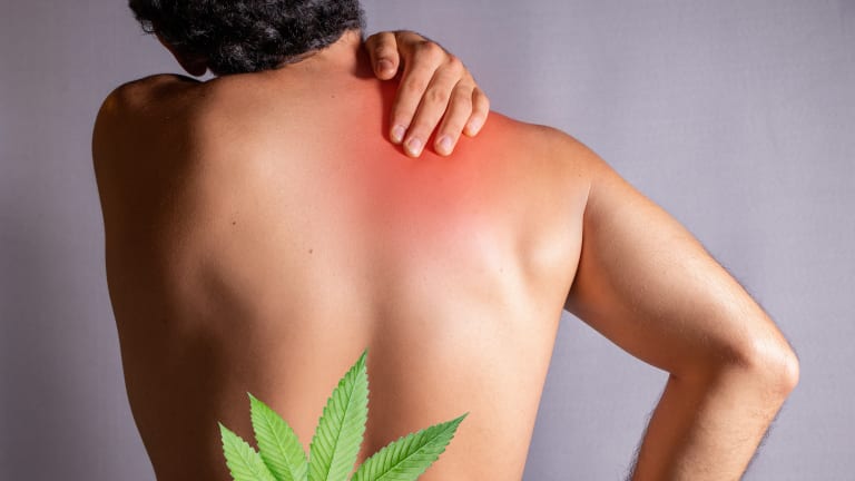 Cannabis and Low Back Pain
